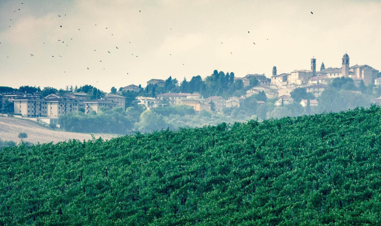 Filodivino Wine Resort & Spa San Marcello  Bagian luar foto